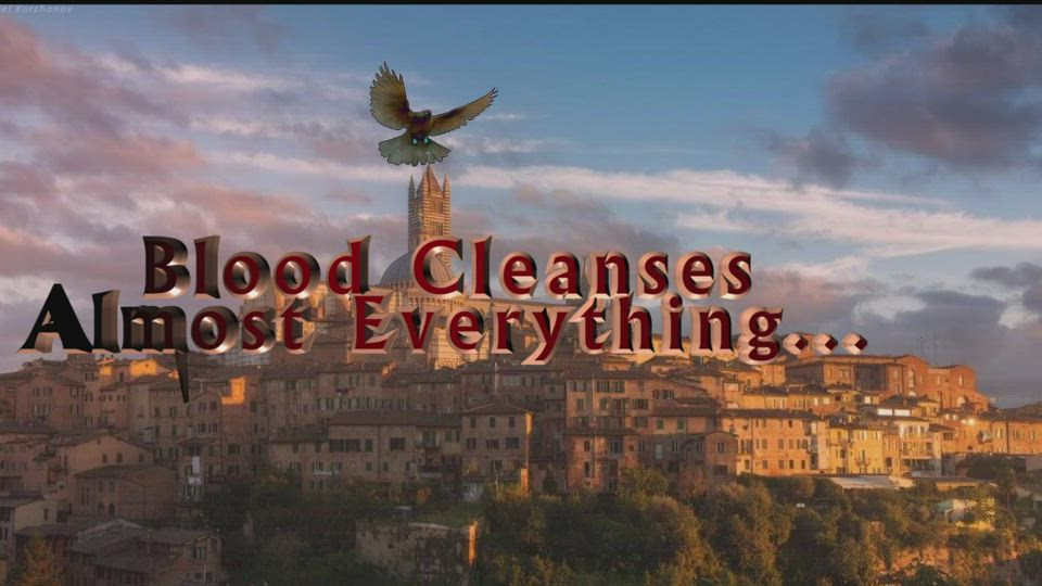 Love & Other Biblical Drugs 20 The Purpose Of A Women's Minstrel Flow