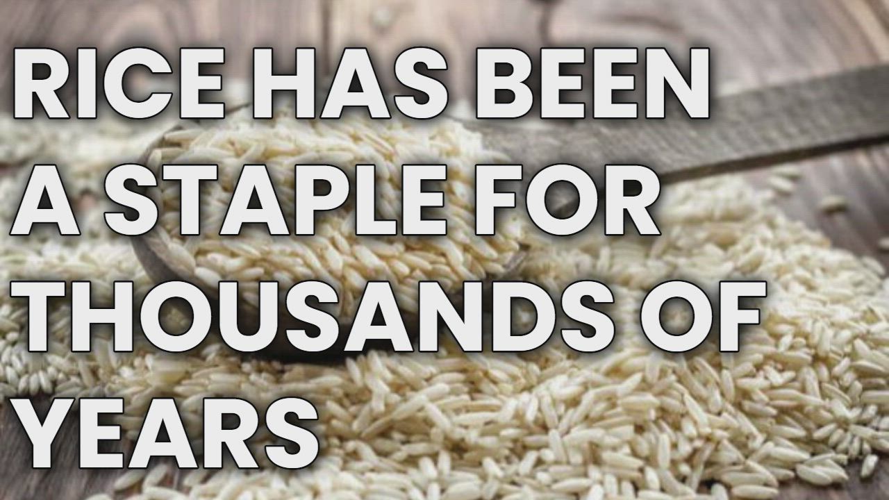 BANNED VIDEO: RICE - Brighteon .com