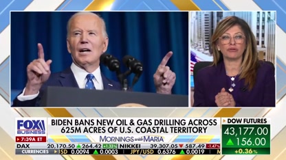 Energy expert sounds alarm over Biden’s recent oil and drilling ban: It's a 'sad day'