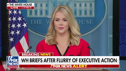 Leavitt confirms Trump's tariffs on Canada, Mexico and China will take effect