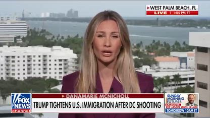 10 MILLION unvetted illegal immigrants entered US under Biden, former ICE chief estimates