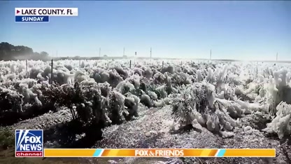 TRUMP SPEED': Zeldin vows to rebuild LA after being tapped as 'permitting czar'