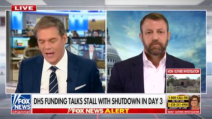 'SO RIDICULOUS': Schumer mocked for opposing voter ID