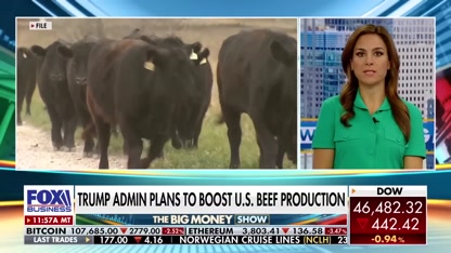 BEEF OVER BEEF PRICES?: Trump vows to support cattle ranchers
