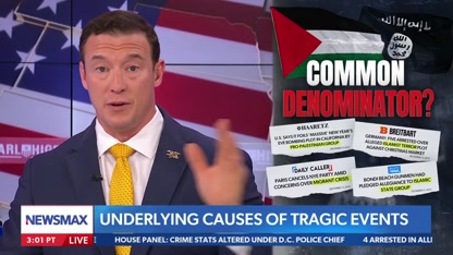 The obvious 'common denominator' in extremist senseless tragedies: Carl Higbie