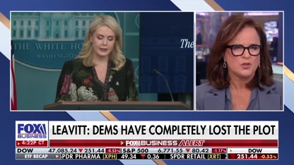 The Dems' government shutdown has all been about politics, GOP lawmaker says