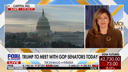 'SCARE TACTIC': Ron Johnson quashes fear-mongering over debt default