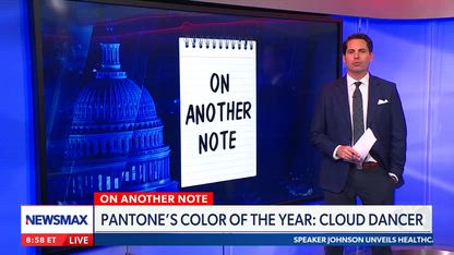 Do Americans think Pantone’s Color of the Year is racist?