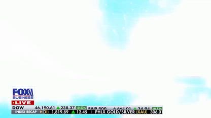 'TYRANNY RALLY': 'No Kings' protesters are supporting 'totalitarianism,' GOP rep argues