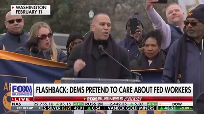 Schumer ‘forced’ into shutdown? GOP lawmaker explains