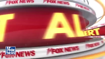 NEW: Details revealed about woman shot, killed by ICE agent in Minneapolis