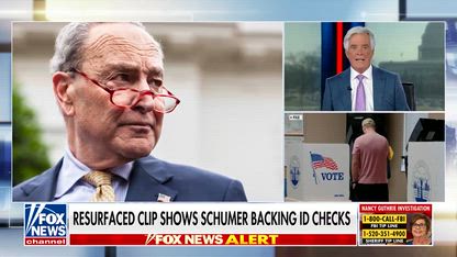 Flashback: Schumer once backed voter ID — now critics are calling it out