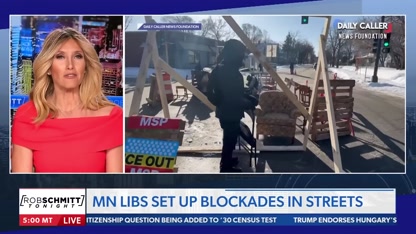 Liberal agitator's 'blockade' a symptom of Dems' recklessness: Bianca de la Garza