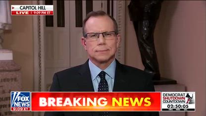 ‘It’s about the math’: Schumer’s shutdown optics deconstructed