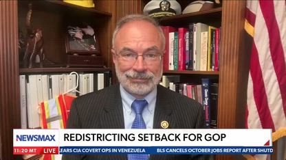 Plaskett got caught with hand in Epstein cookie jar: Andy Harris | Newsline