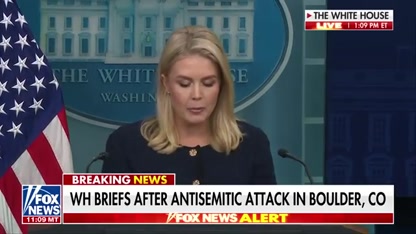 WATCH: Leavitt puts Biden’s ‘reckless’ immigration policies on blast