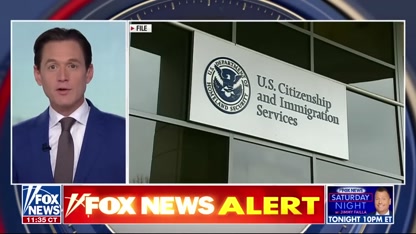 'IMMIGRATION SCHEME': Former ICE chief touts suspension of green card lottery
