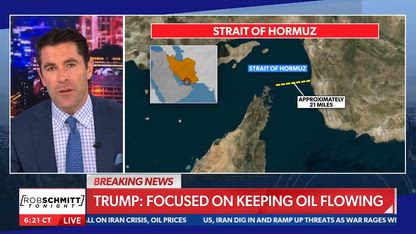 Trump is ‘playing 3D chess’: Peter Navarro