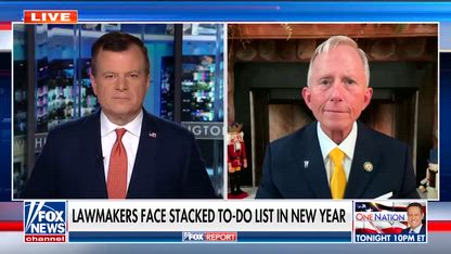 Shame on the Democrats for doing this, GOP lawmaker says