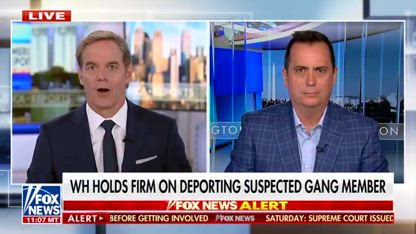Homan hits back at ABC host: 'He's exactly where he should be'