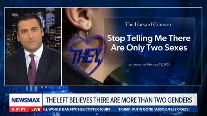 Weak, woke Dems struggle to talk to men: Bob Brooks