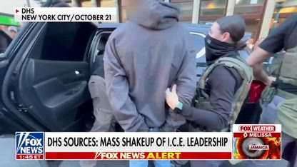 ICE SHAKEUP: Director promises largest deportation EVER
