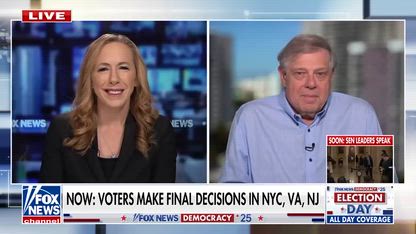 How Mamdani could 'redefine' the Dem Party