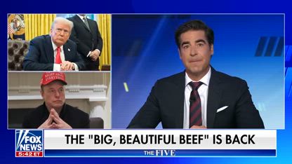 ‘The Five’: Trump bashes Musk’s idea of a new political party
