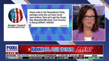 The ‘big, beautiful bill’ is good and balanced, says GOP lawmaker