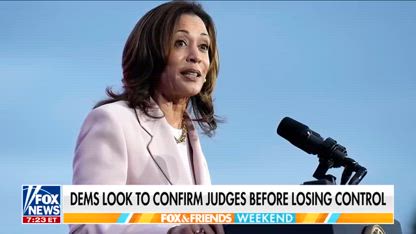 Democrats ‘want to stack the Supreme Court’: Tammy Bruce on push to confirm judges