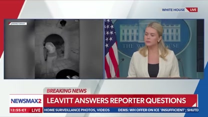 LEAVITT: Trump cut off his relationship with 'creep' Epstein