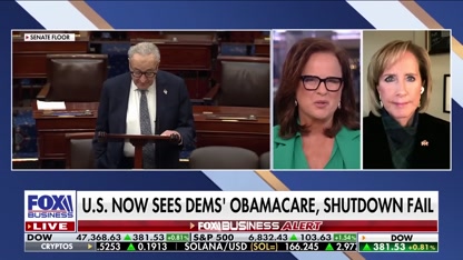 Democrats don't have a plan, GOP lawmaker says