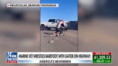 Florida man wrestles alligator on the highway while barefoot: 'CRAZY'