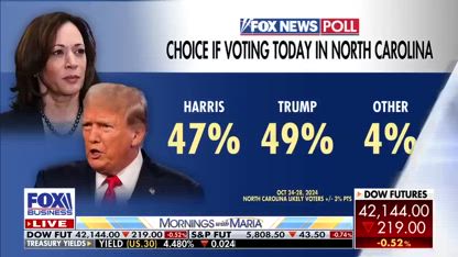 This is what will happen to the US economy if Harris wins: Expert