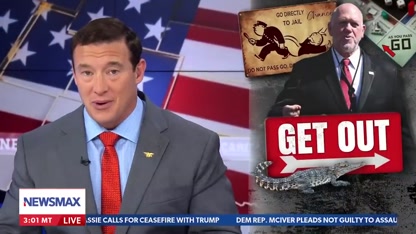 Carl Higbie: Surround all illegals with alligators and pythons