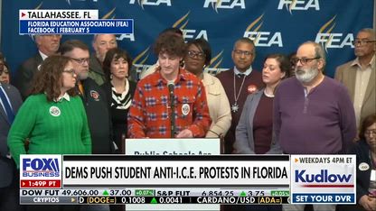 'Disgusting' that Florida teachers union is allowing anti-ICE protests to continue: GOP lawmaker