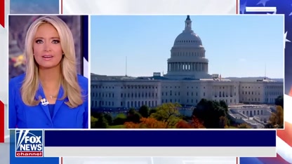 Democrats are 'COMPLETELY at fault' for shutdown, says GOP member