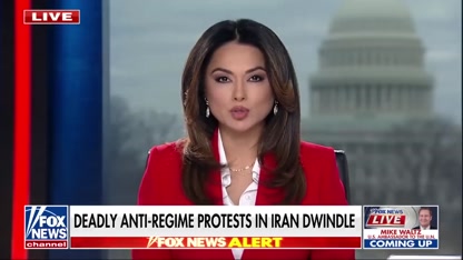 Mike Waltz defends Trump’s tariffs amid Greenland push: 'We HAVE to secure it'