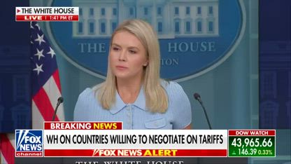 Karoline Leavitt blasts CNN for ICE locator app: 'Inciting violence'