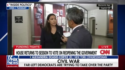 'DISRUPT THE STATUS QUO': Dem reveals party's plan after shutdown fiasco