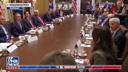 Tomi Lahren: States like this are 'defrauding the American people'