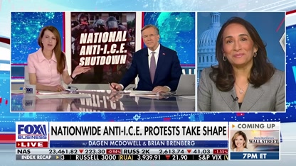 ‘FOLLOW THE MONEY’: China tech tycoon allegedly funded anti-ICE shutdown