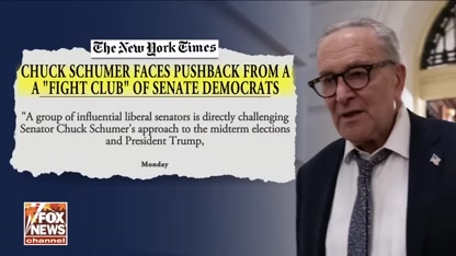 Schumer up against 'FIGHT CLUB' of influential Democrats